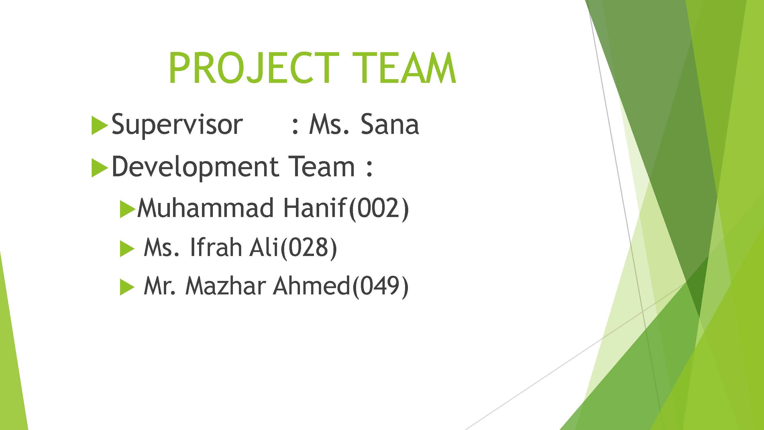 Project Team